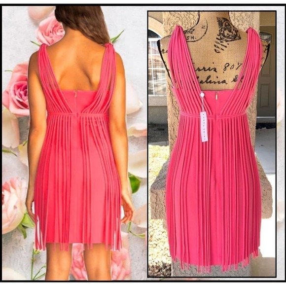 Trina Turk Venetia Dress Fringe Overlay Watermelon Pink Size 2 - Picture 4 of 8
